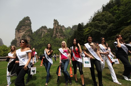 Beauty Contest In Forest