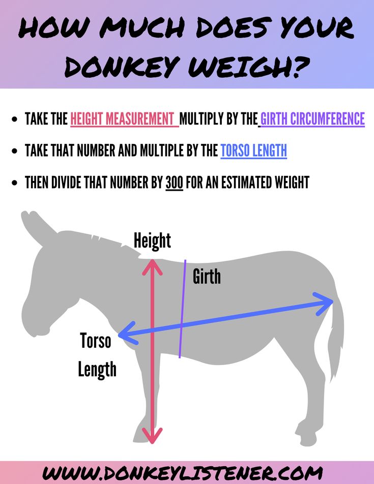 Donkey Weight