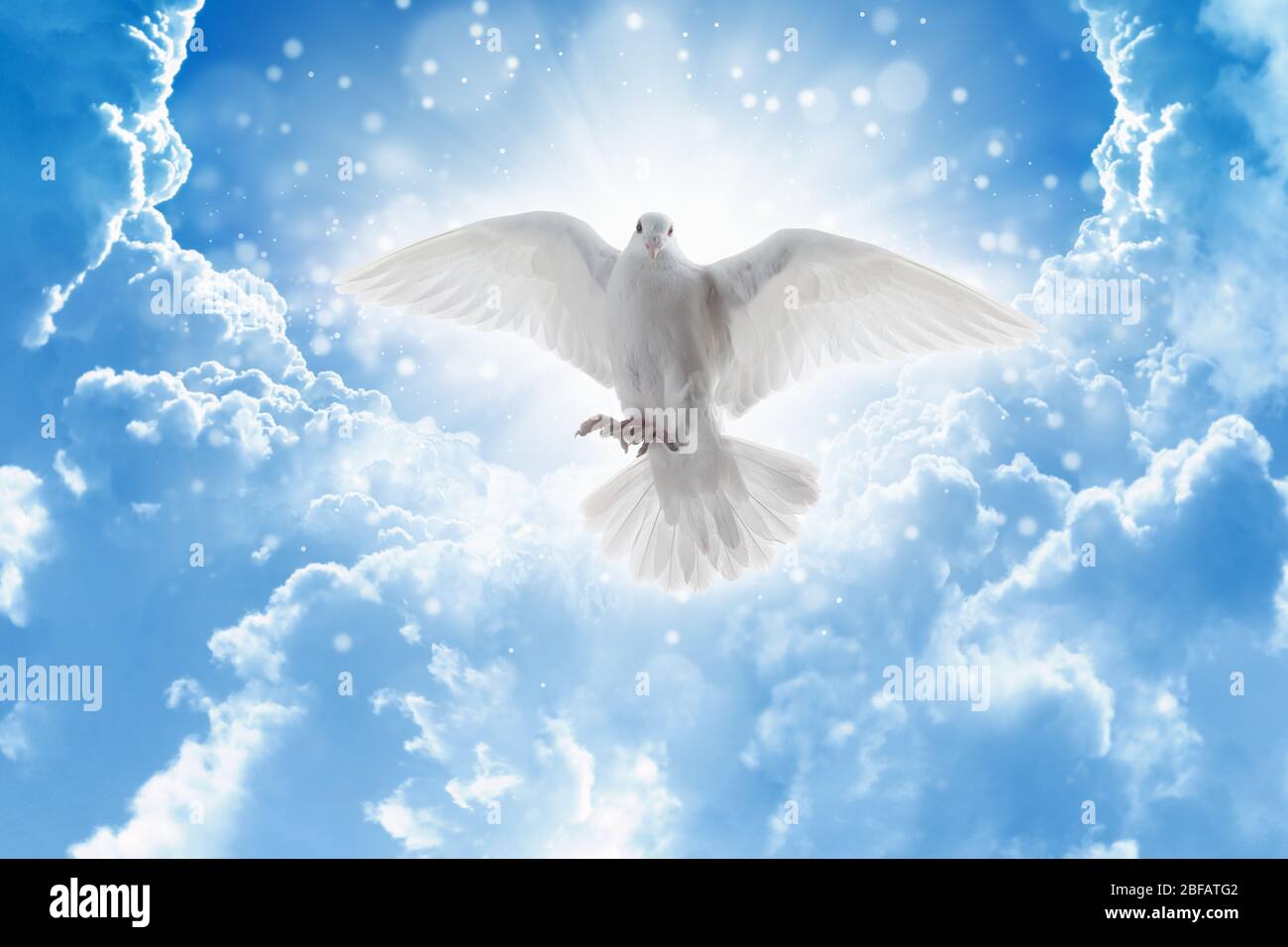 Godly Bird