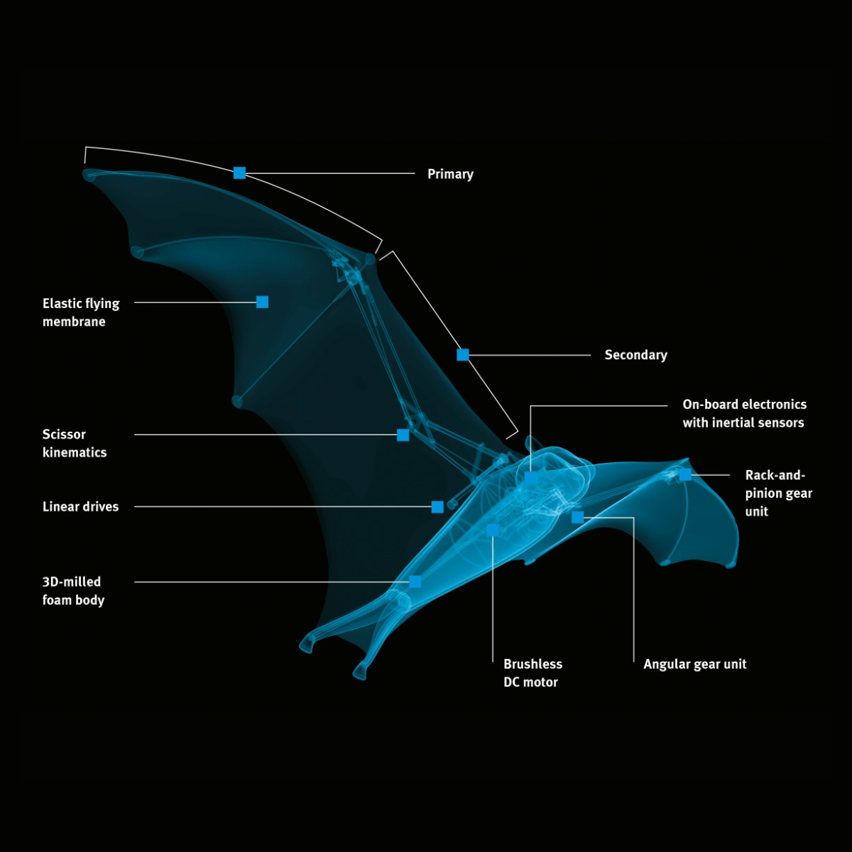 Intelligent Bat Bird
