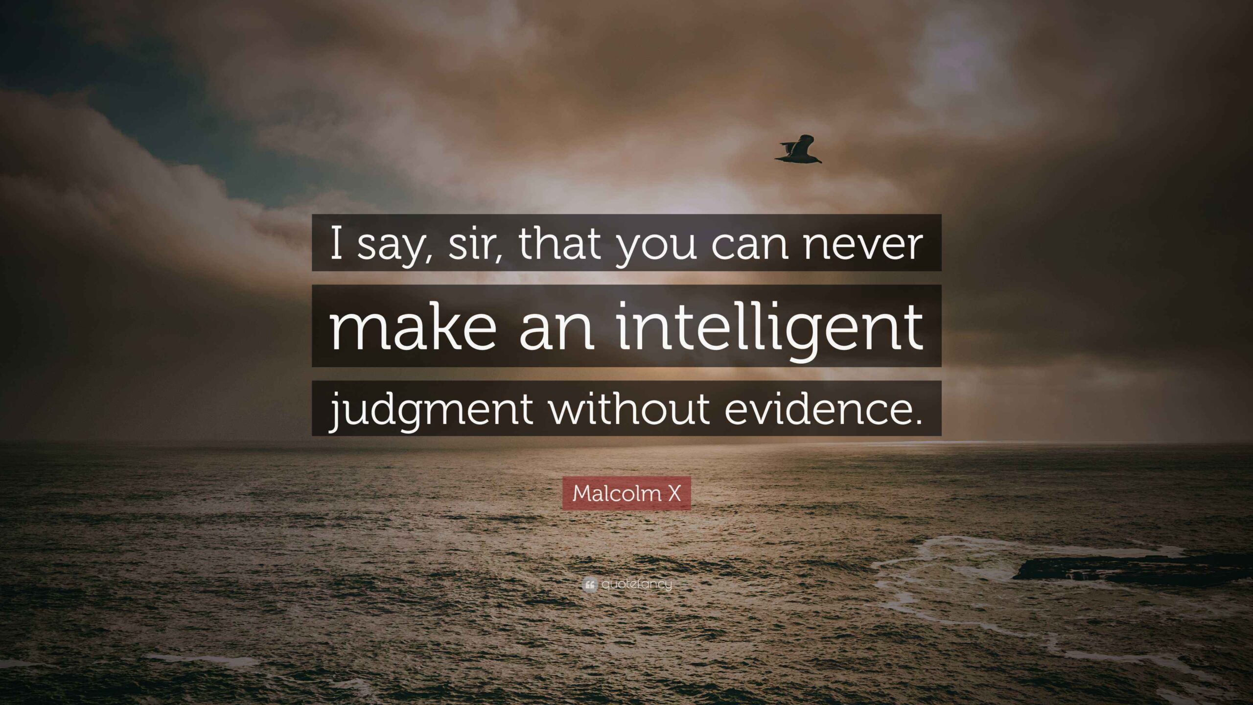 Intelligent Judgement