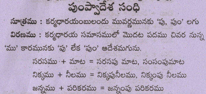 Pumpwadesa Sandhi