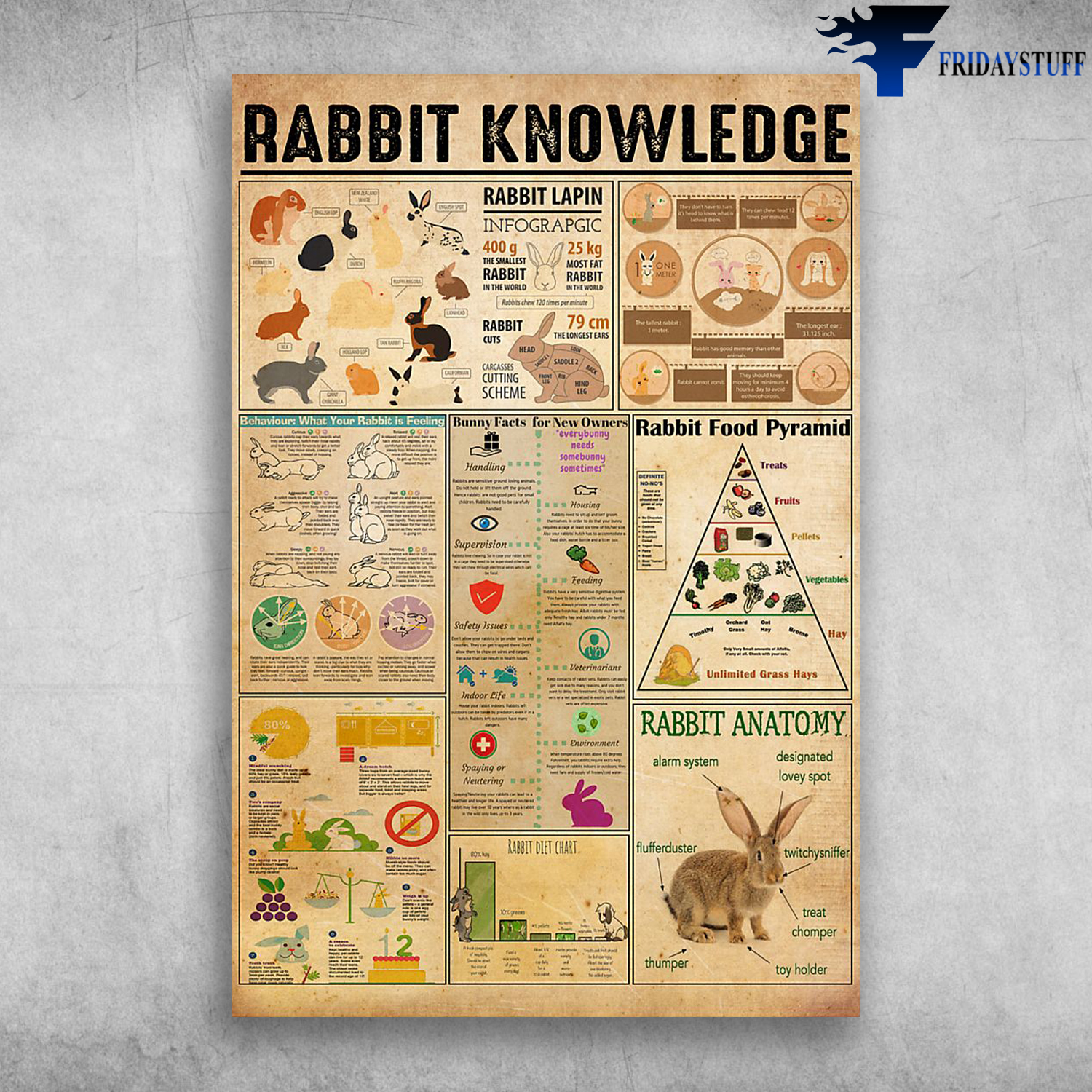 Rabbit Knowledge