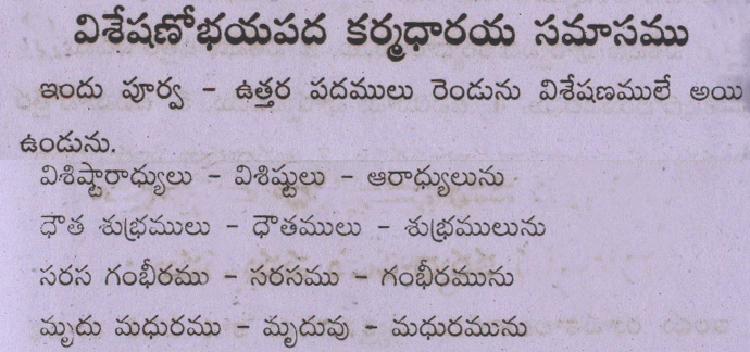 Visheshana Ubhayapada Samasamu